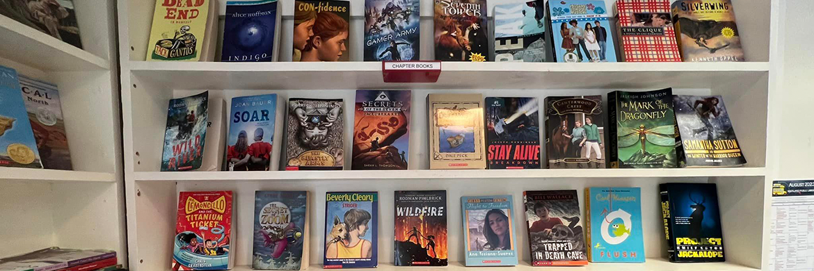 Image inside the friends of the library's bookstore showing a display of books on sale