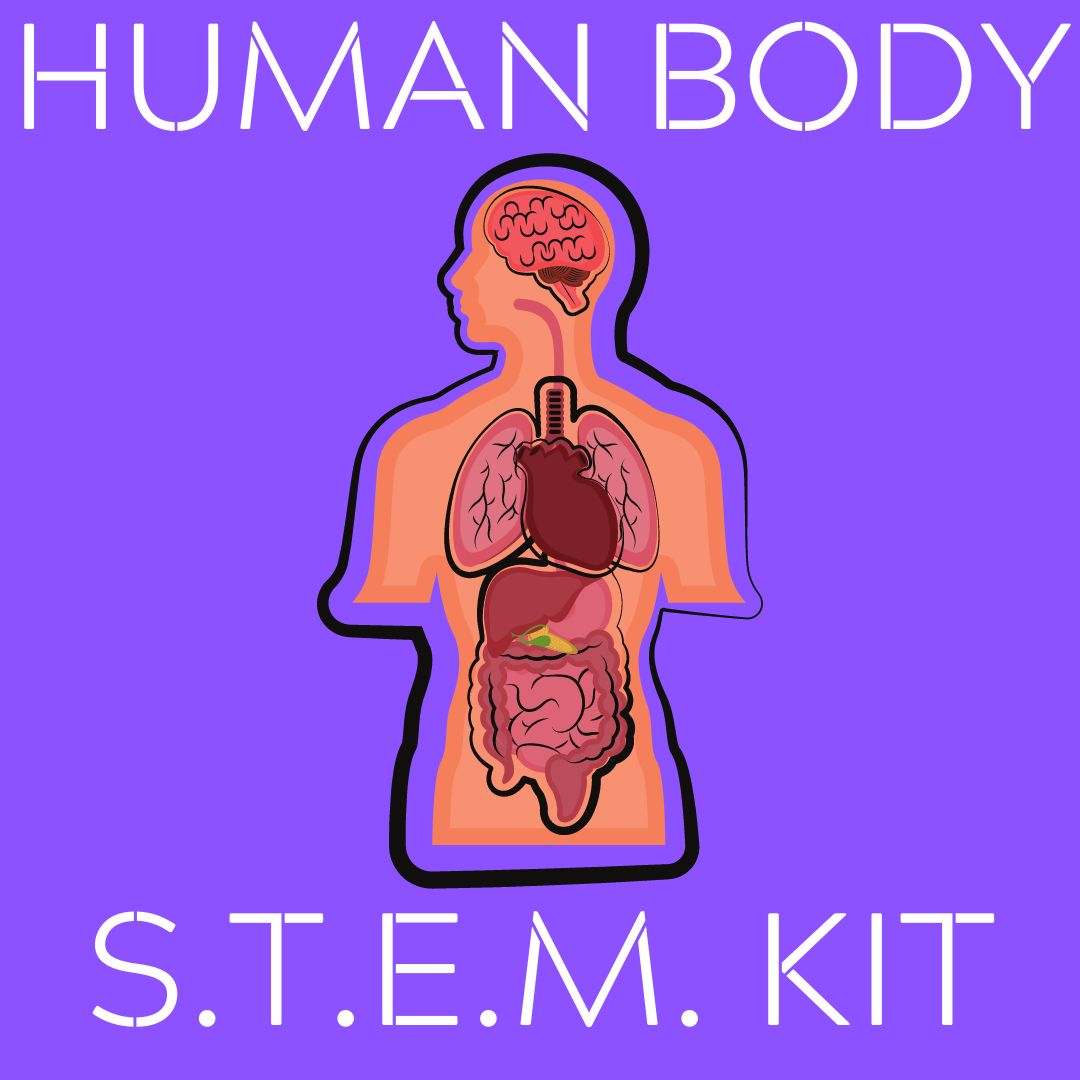 Human Body S.T.E.M. Kit