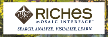 Logo for RICHES Mosaic Interface